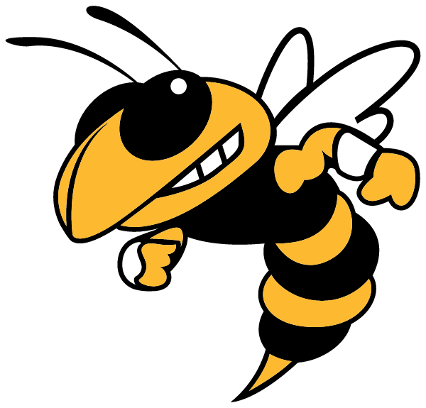 HINSDALE SOUTH HIGH SCHOOL Logo