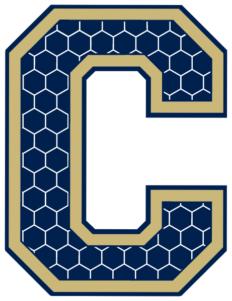 CHAPELGATE CHRISTIAN ACADEMY Logo