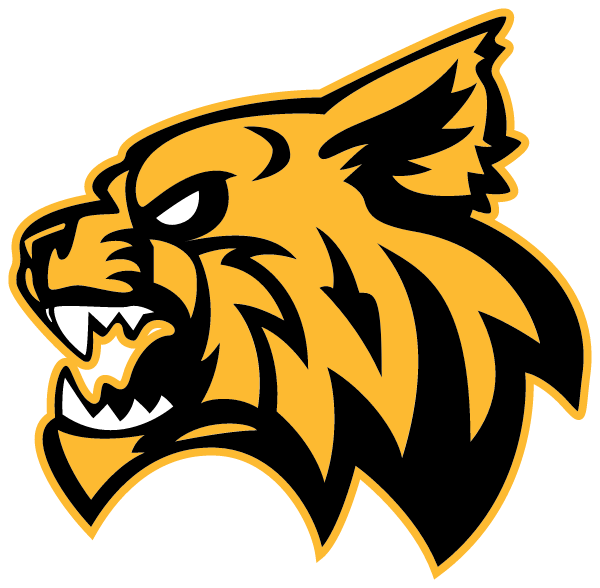 SALEM ATTENDANCE CENTER Logo