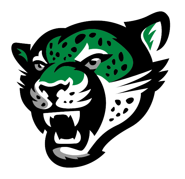 D EVELYN SENIOR HIGH SCHOOL Logo