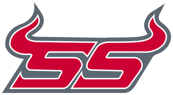 SOUTH STANLY HIGH SCHOOL Logo