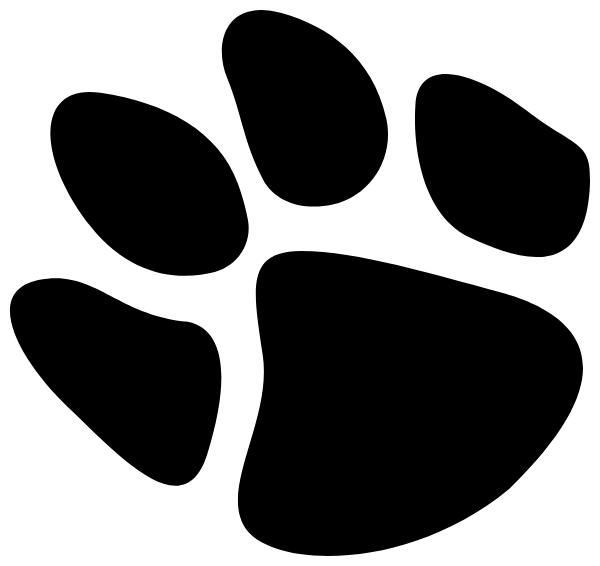 COMMACK SCHOOL DIST Logo