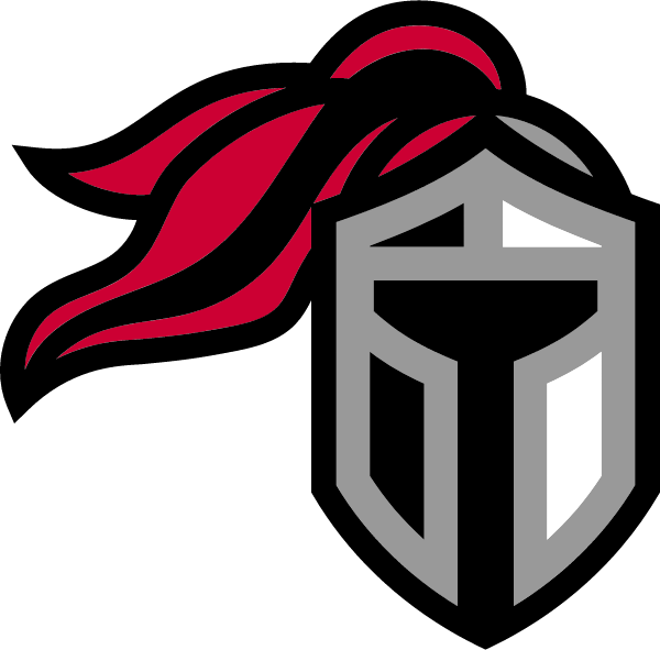 FAIRVIEW HIGH SCHOOL Logo