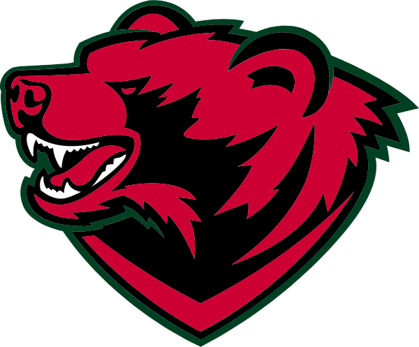 Washington University In Saint Louis Logo