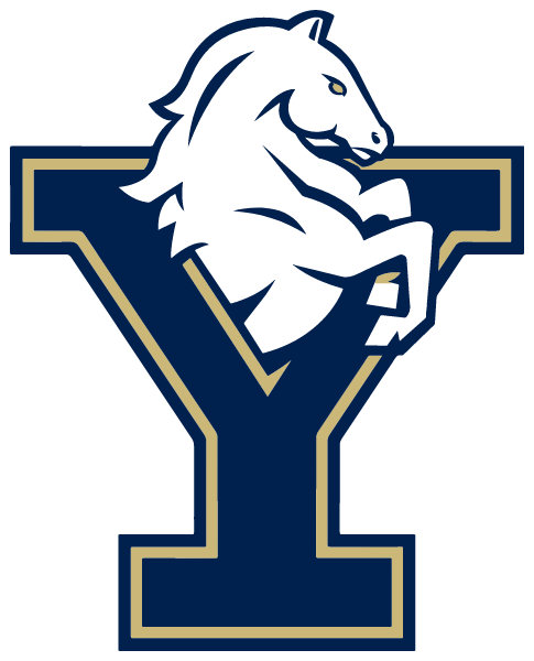 YORK INTERNATIONAL SCHOOL Logo