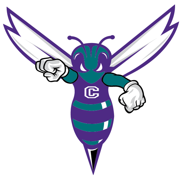 CENTRAL MIDDLE SCHOOL Logo
