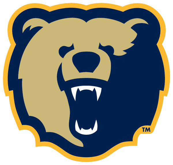 MORGAN STATE UNIVERSITY Logo