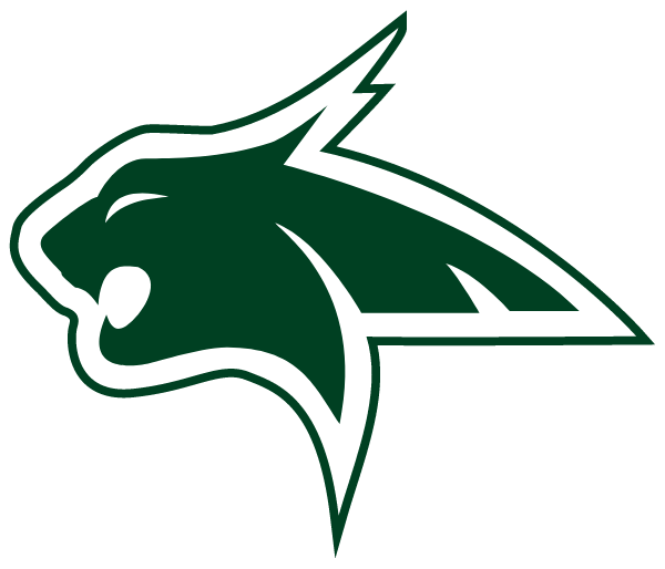 Bluff Dale ISD Logo