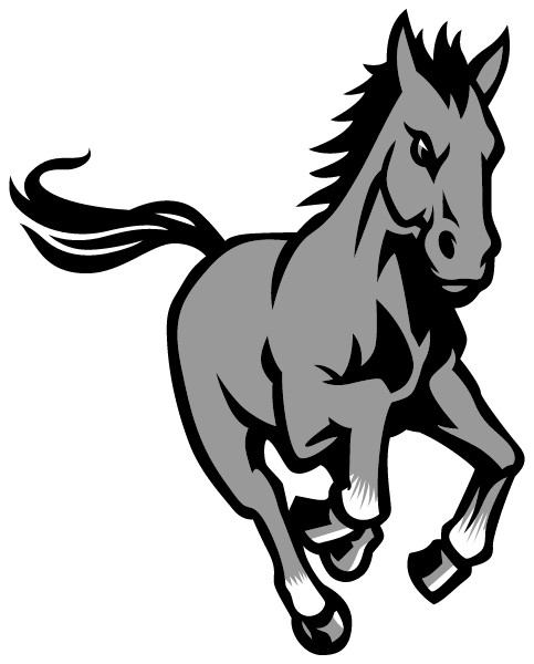 NOLAN MIDDLE SCHOOL Logo