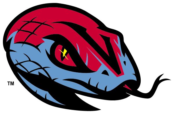 Lake Buena Vista High School Vipers (Orlando, Florida) Spirit Apparel & Accessories Store