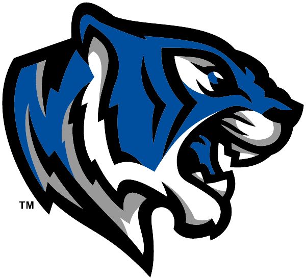 Demopolis High School Tigers (Demopolis , Alabama) Spirit Apparel & Accessories Store