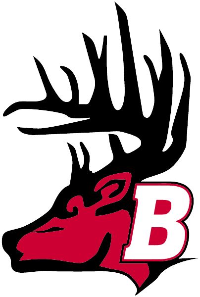 BUCKTAIL HIGH SCHOOL Bucks (Renovo, Pennsylvania) Spirit Apparel & Accessories Store