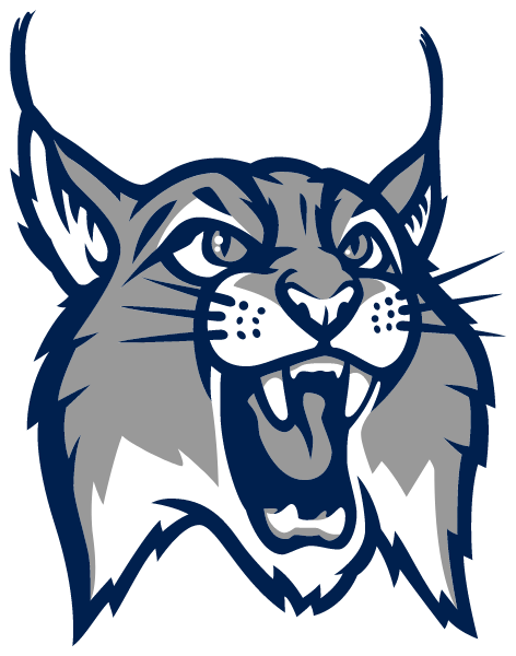 Davis Connect Online - Impact Logo