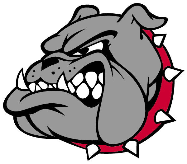 Boiling Springs Middle School Logo