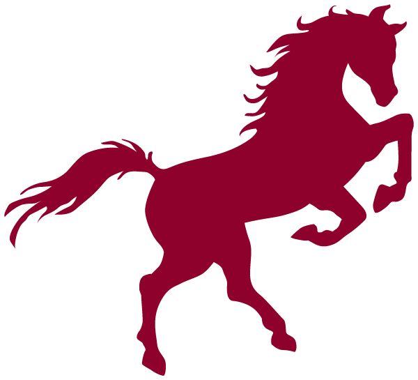 Bradford K-8 School Sideline Store Stallions (LITTLETON, Colorado) Spirit Apparel & Accessories Store