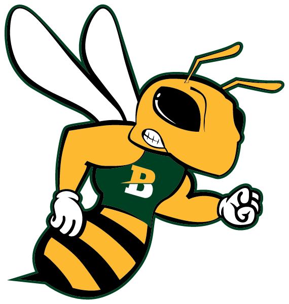 Boston School Logo