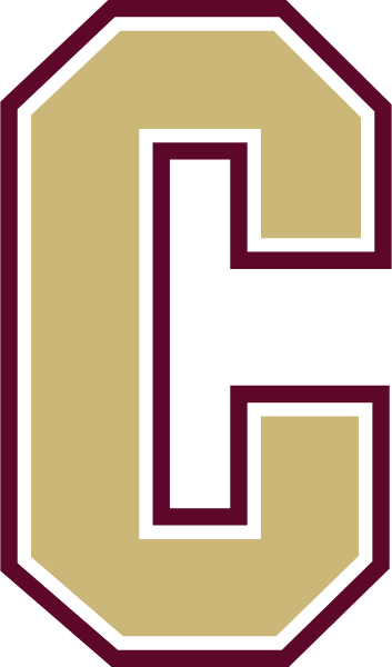 Colonie Travel Baseball Logo