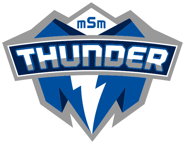 Mount Saint Mary Academy Logo