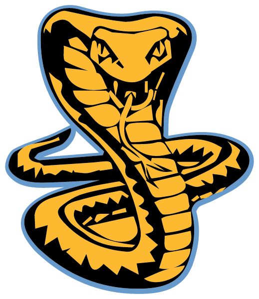 Rochester Early College International High School Cobras (Rochester, New York) Spirit Apparel & Accessories Store