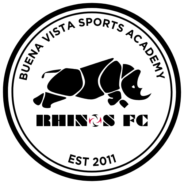 Buena Vista Sports Academy Logo