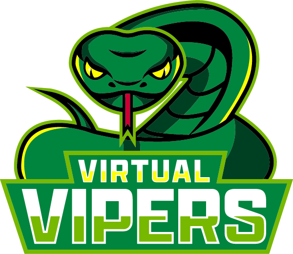 The Virtual Academy Logo