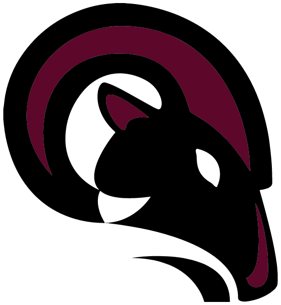 New Life Christian School Logo