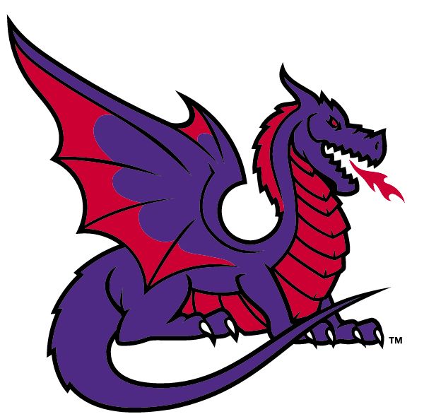 NEW TECH HIGH SCHOOL DRAGONS (Belton, Texas) Spirit Apparel & Accessories Store