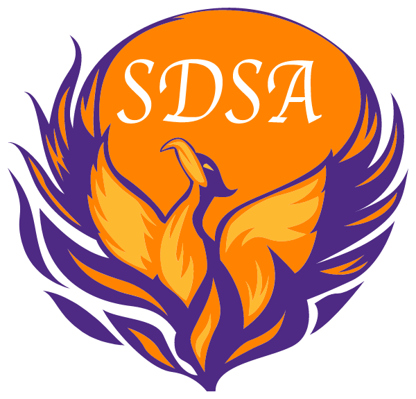Salida DEl SOL Academy Logo