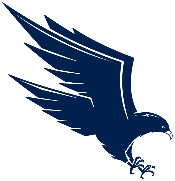 Valor Schools Logo