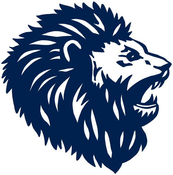 Valor North Austin Logo