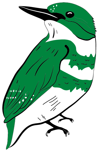 Valor Kyle Logo