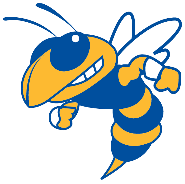 Mitchell High School Logo