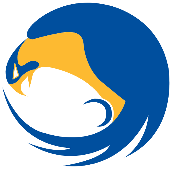 Star International Academy Logo