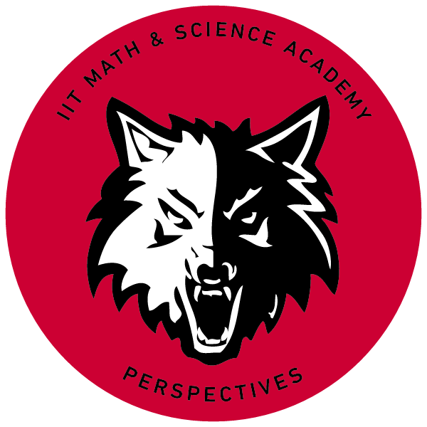 Perspectives MSA Logo