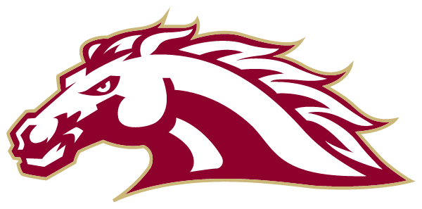 South Aiken High School Logo