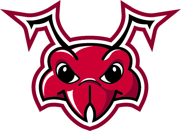 Usc Sumter Logo
