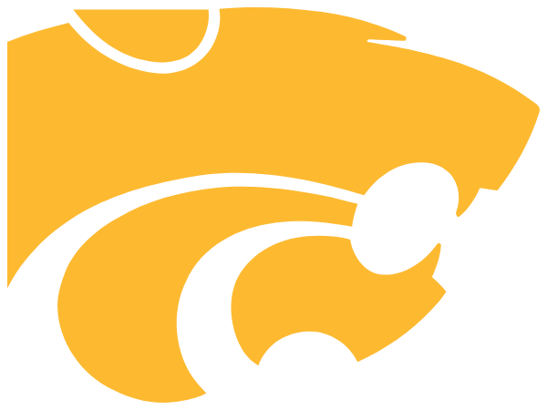 Idaho City High School Logo