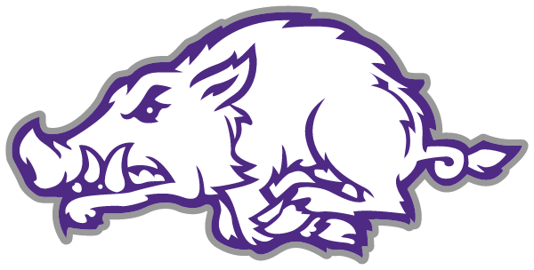Walhalla Middle School Logo