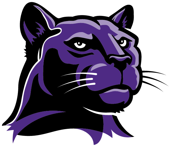 Skyview Middle School Logo