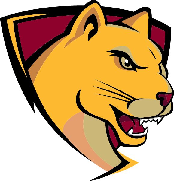 John T. Magee MIDDLE SCHOOL Cougars (Round Lake , Illinois) Spirit Apparel & Accessories Store