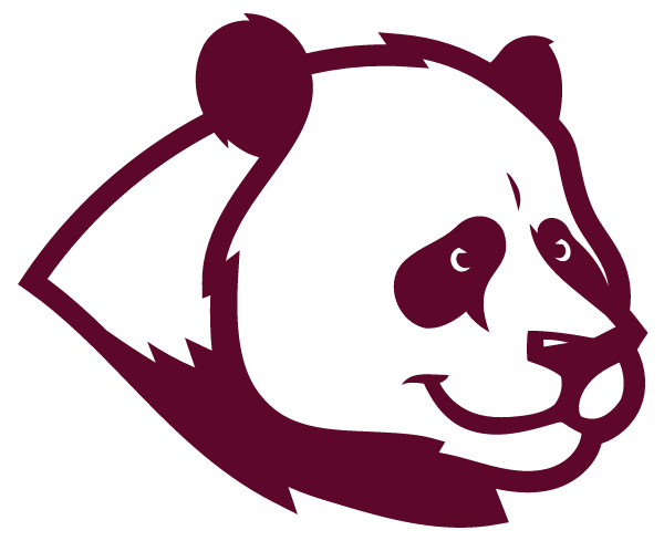 SAINT SAVIOUR HIGH SCHOOL Logo