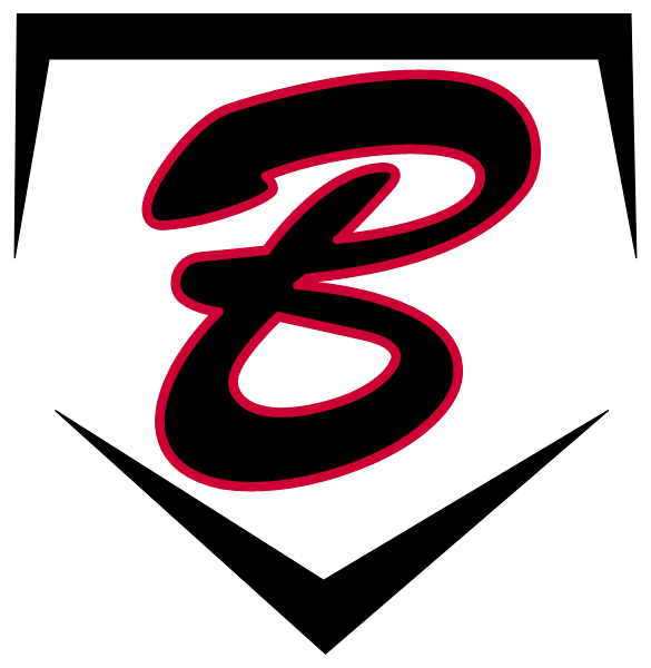 BUZZ FASTPITCH Logo
