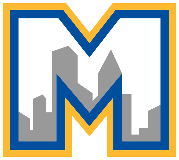 ESTEM HIGH SCHOOL Logo