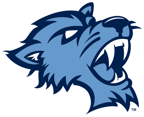 Baruch College Logo
