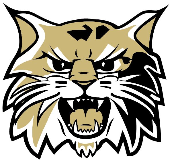 Blacksburg Primary School Logo