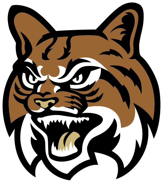 SAMUEL E. SHULL SCHOOL Bobcats (PERTH AMBOY, New Jersey) Spirit Apparel & Accessories Store