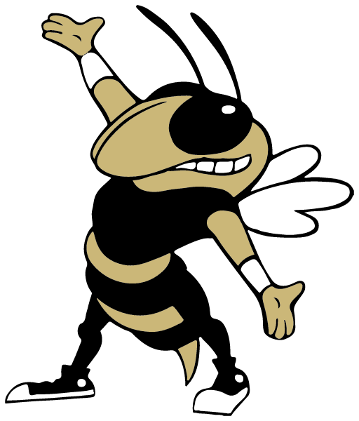 Pine Ridge Middle School Logo