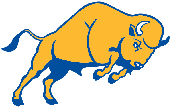 ST MARYS SCHOOL FOR THE DEAF BUFFALO Logo