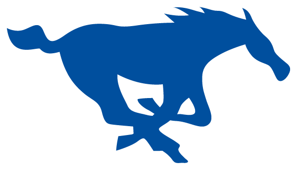 STALEY MIDDLE SCHOOL Logo