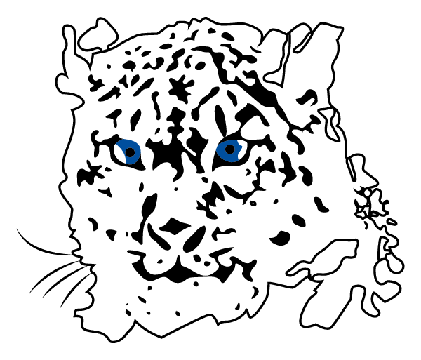 SOUTHWESTERN ILLINOIS COLLEGE Logo
